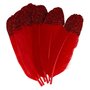 Artemio 6 plumes décoratives rouges à paillettes