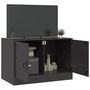 Voir la diapositive 4 : VIDAXL Meuble TV noir 67x39x44 cm acier