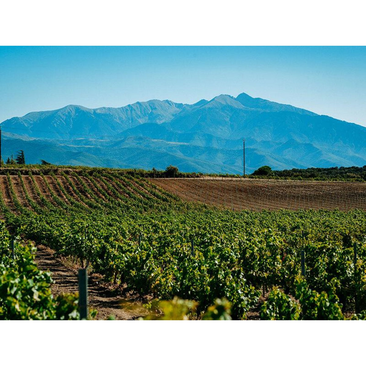 Smartbox Séjour d'exception de 2 jours en hôtel 4* avec safari en 4x4 dans les vignes - Coffret Cadeau Séjour