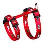 Voir la diapositive 6 : Trixie Junior harnais chaton avec laisse - TRIXIE - Motif chat - 21–33 cm / 8 mm - 1,20 m