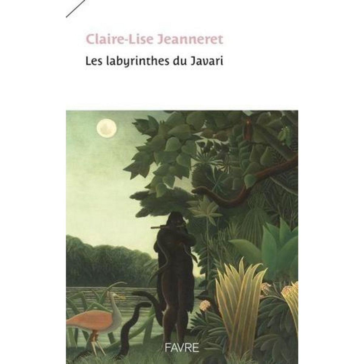 LES LABYRINTHES DU JAVARI, Jeanneret Claire-Lise