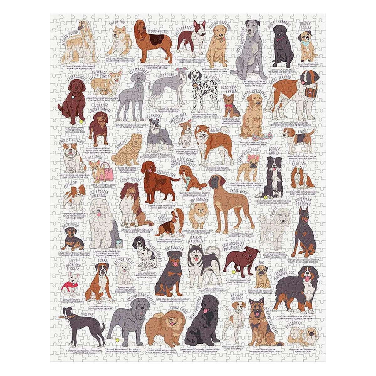  Puzzle 1000 pièces : Amoureux des chiens