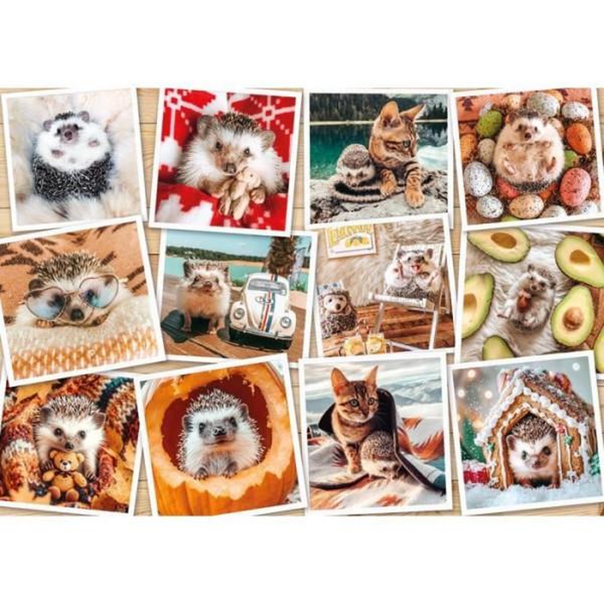 RAVENSBURGER Puzzle 1500 pieces : photo animaux mignons