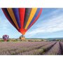 Smartbox Vol en montgolfière d'1h à Chenonceaux - Coffret Cadeau Sport & Aventure