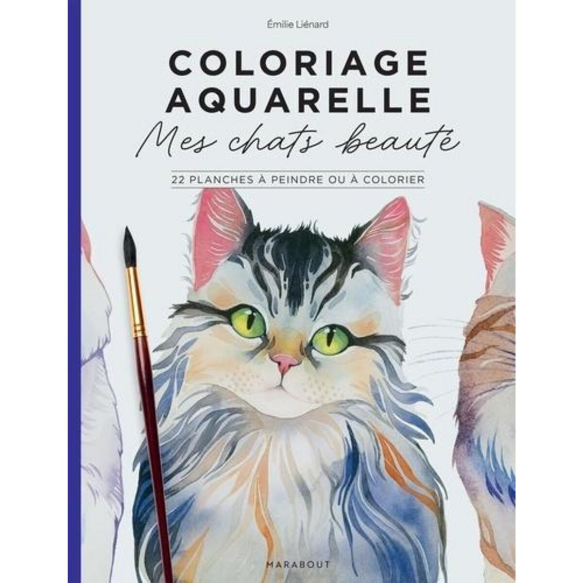 COLORIAGE AQUARELLE : MES CHATS BEAUTES. 22 PLANCHES A PEINDRE OU A COLORIER, Lienard Emilie