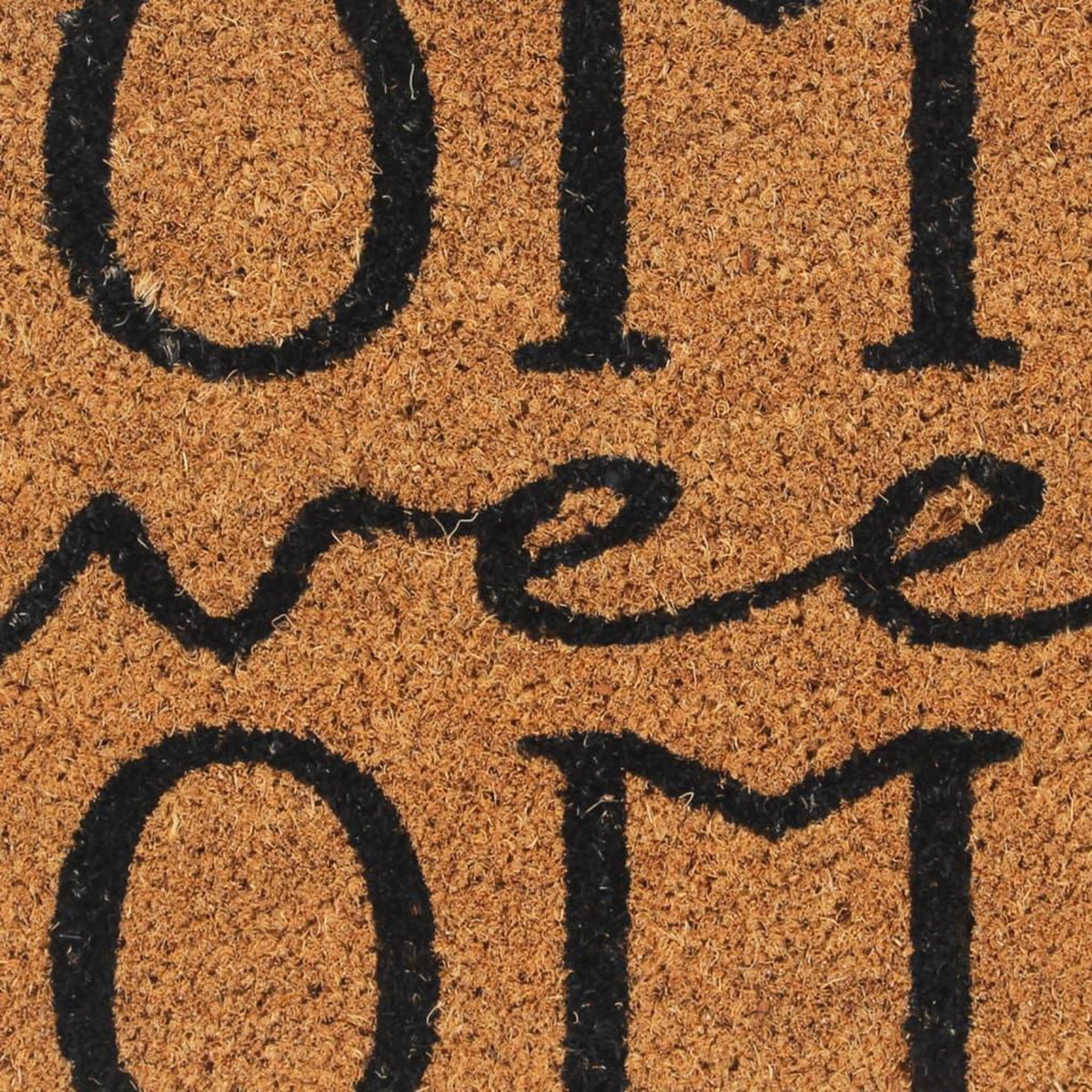 VIDAXL Tapis de porte naturel 45x75 cm fibre de coco touffete