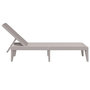 Voir la diapositive 5 : VIDAXL Chaise longue cappuccino 186x60x29 cm PP