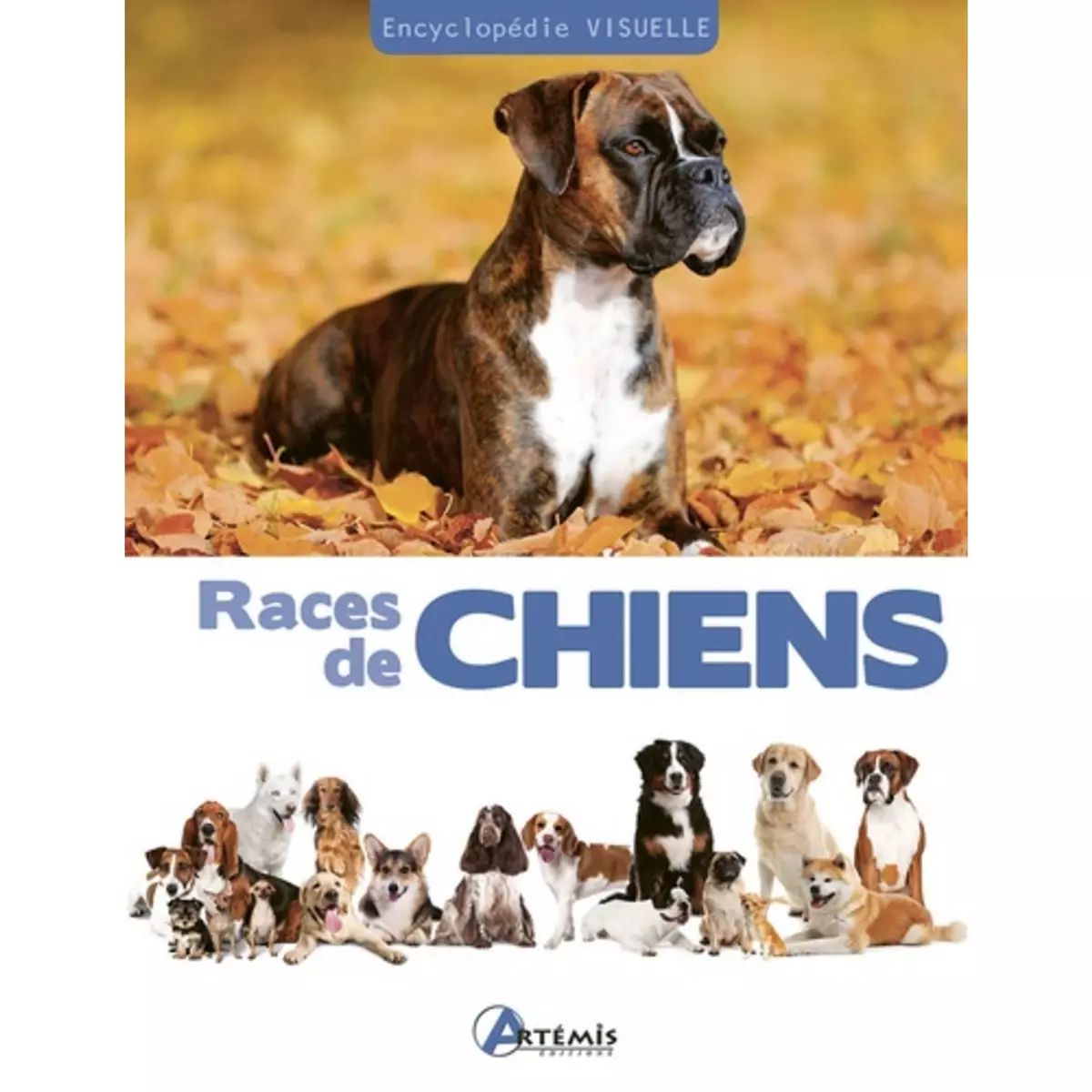  RACES DE CHIENS, Fournier Alain