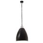 VIDAXL Lampe suspendue industrielle 25 W Noir Rond 32 cm E27