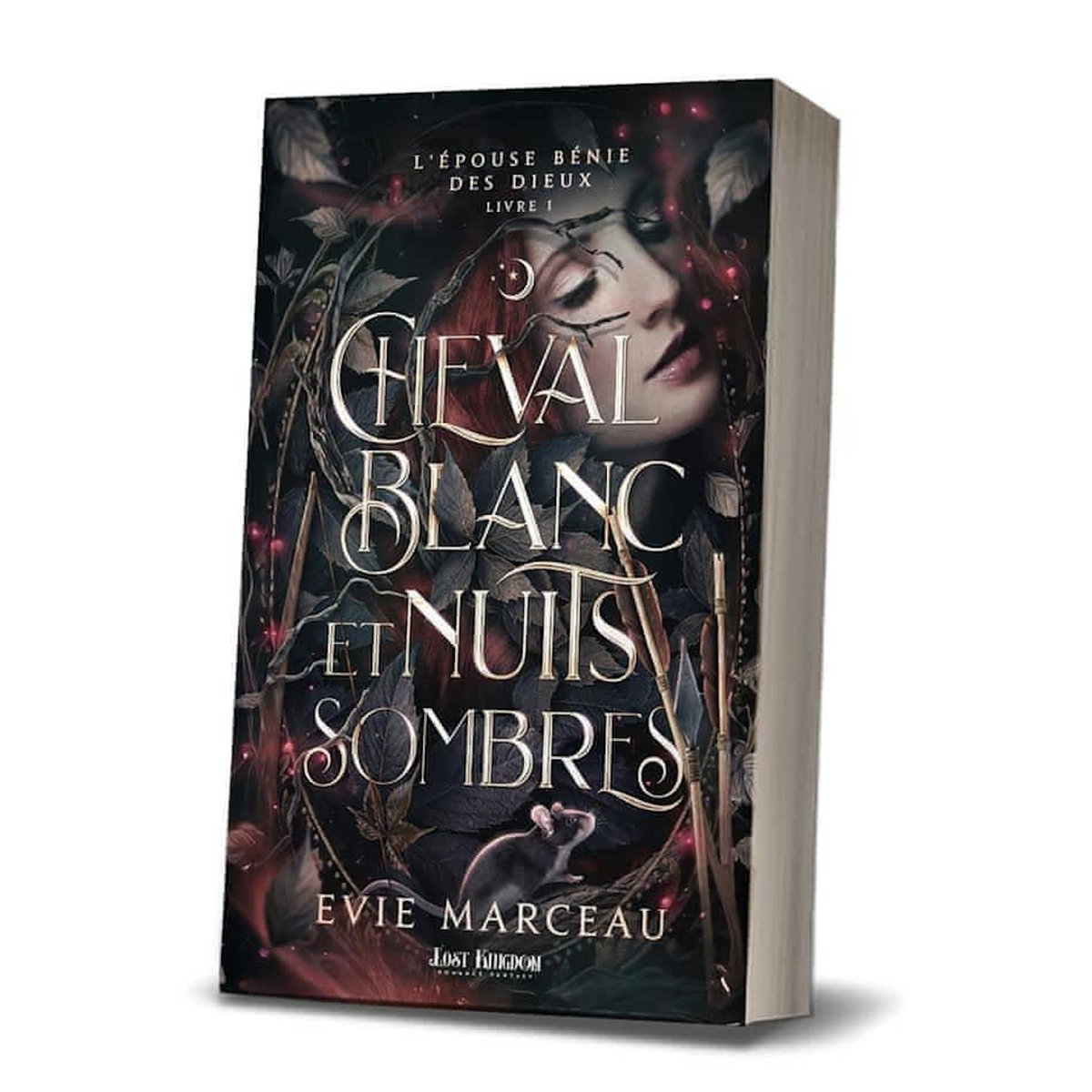 L'EPOUSE BENIE DES DIEUX TOME 1 : CHEVAL BLANC ET NUITS SOMBRES, Marceau Evie