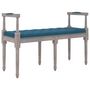 Voir la diapositive 2 : VIDAXL Banc Bleu 110x40x70 cm Velours