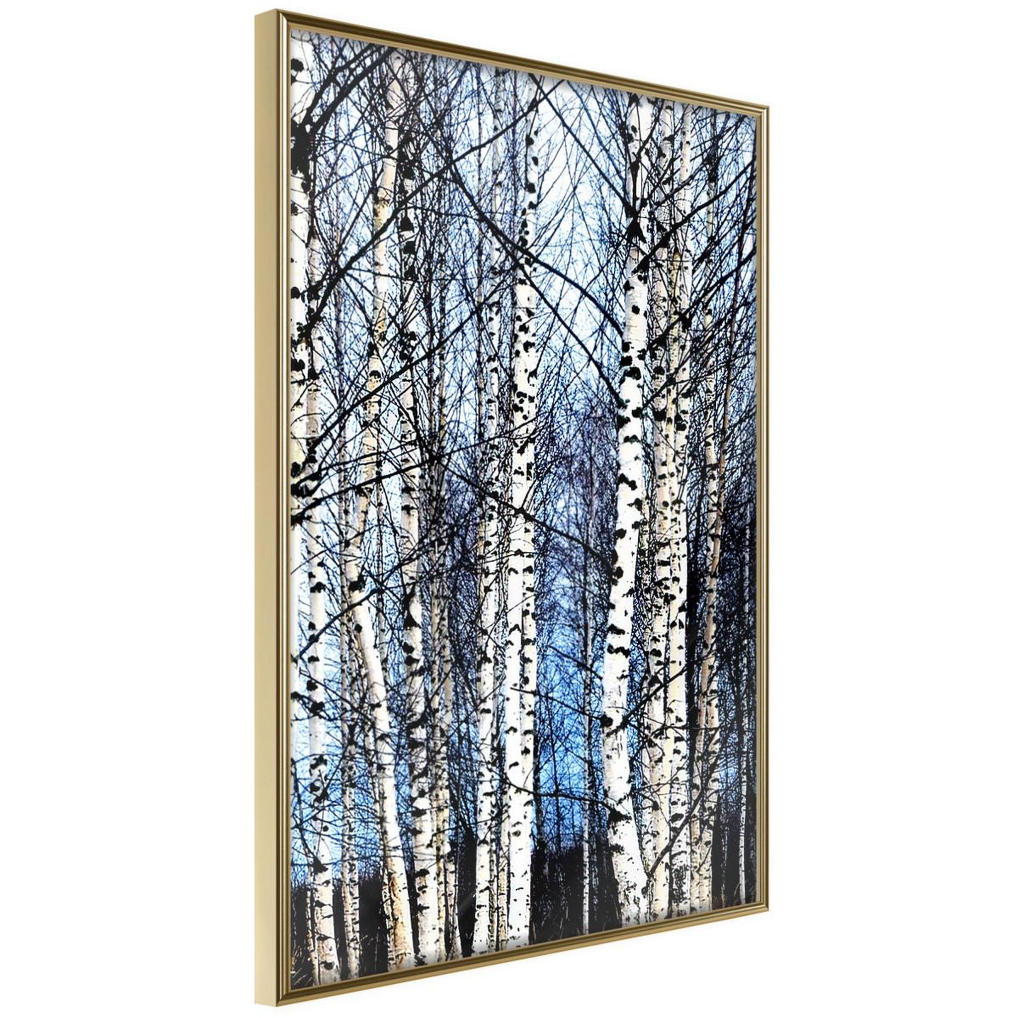 Paris Prix Affiche murale encadrée  winter birch trees