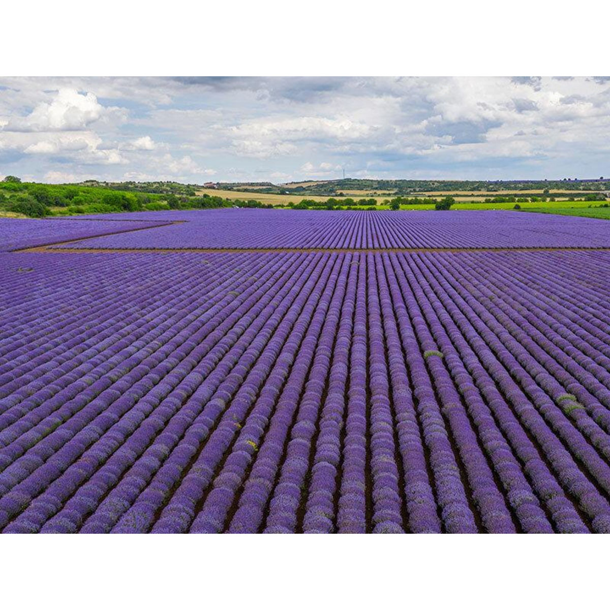 Smartbox Vol en hélicoptère de 20 min pour 2 au-dessus des gorges du Verdon - Coffret Cadeau Sport & Aventure