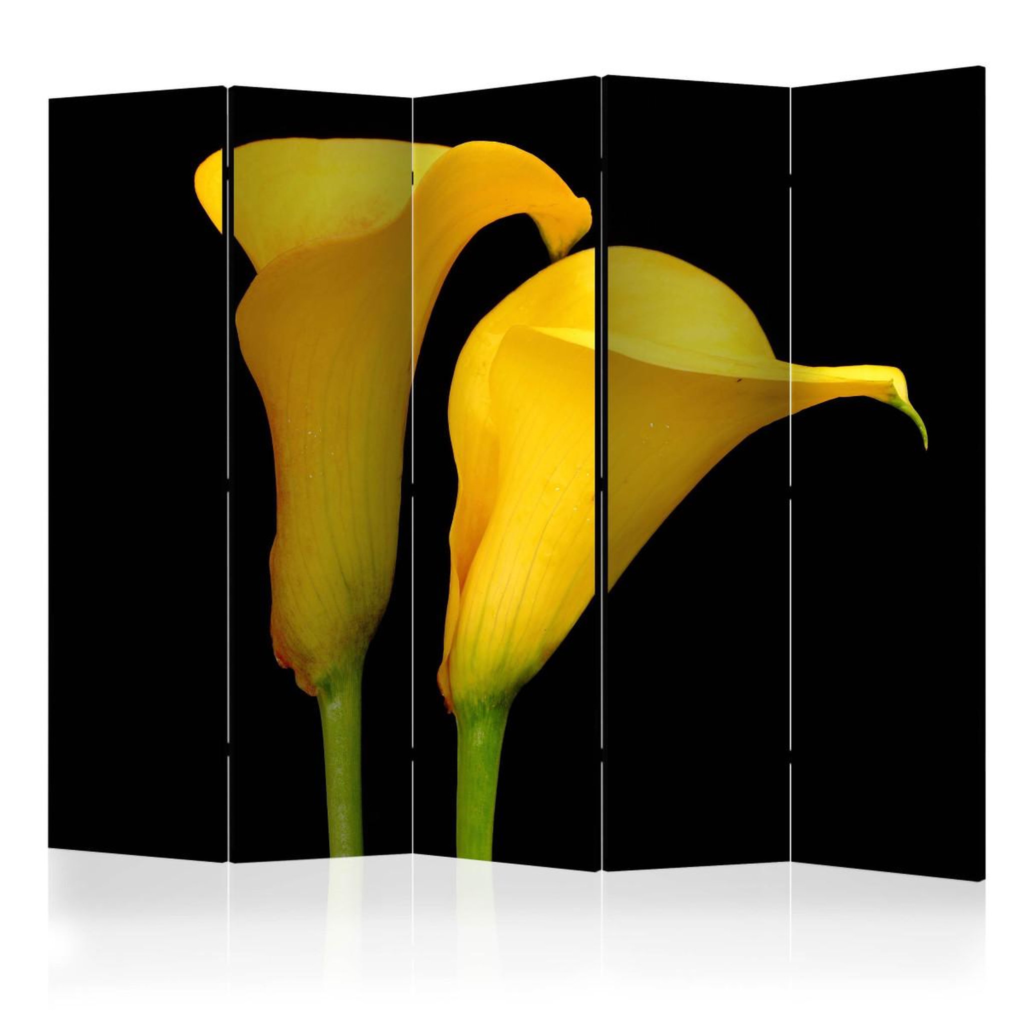 Paris Prix Paravent 5 volets  two yellow calla flowers  172x225cm