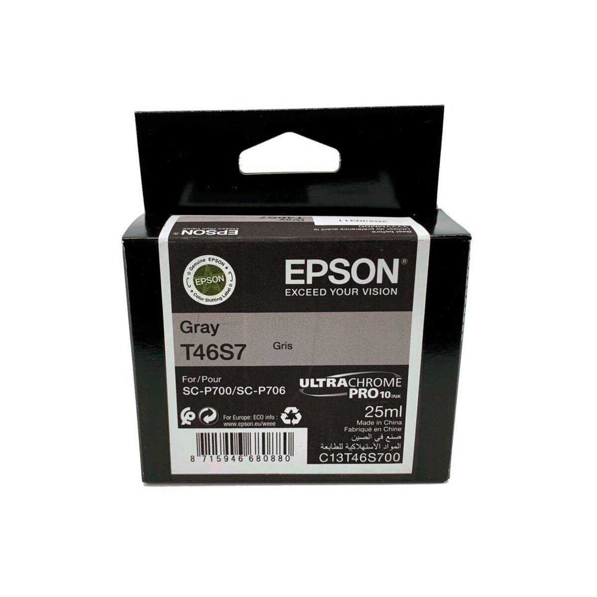 Epson Cartouche d'encre T46S7 Gris