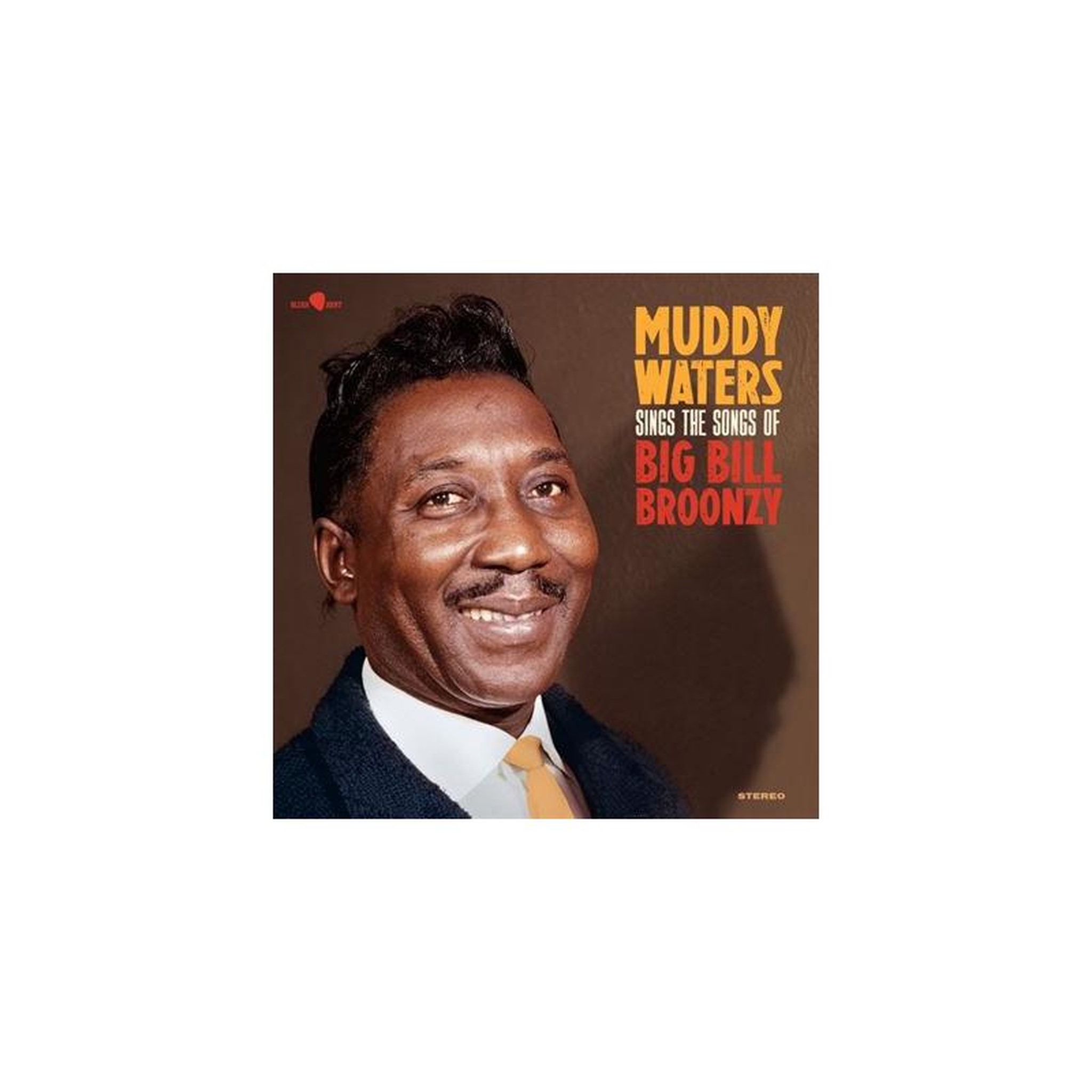 Vinyle 33t stéréo 1 disque en édition limitée muddy waters sings big bill (pias)