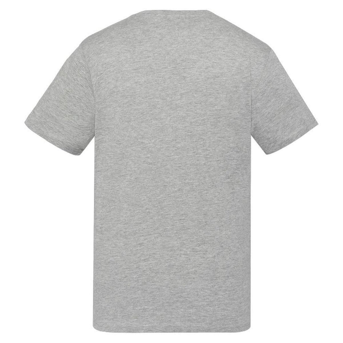 Schott T shirt  Homme Schott TSUSTOUR