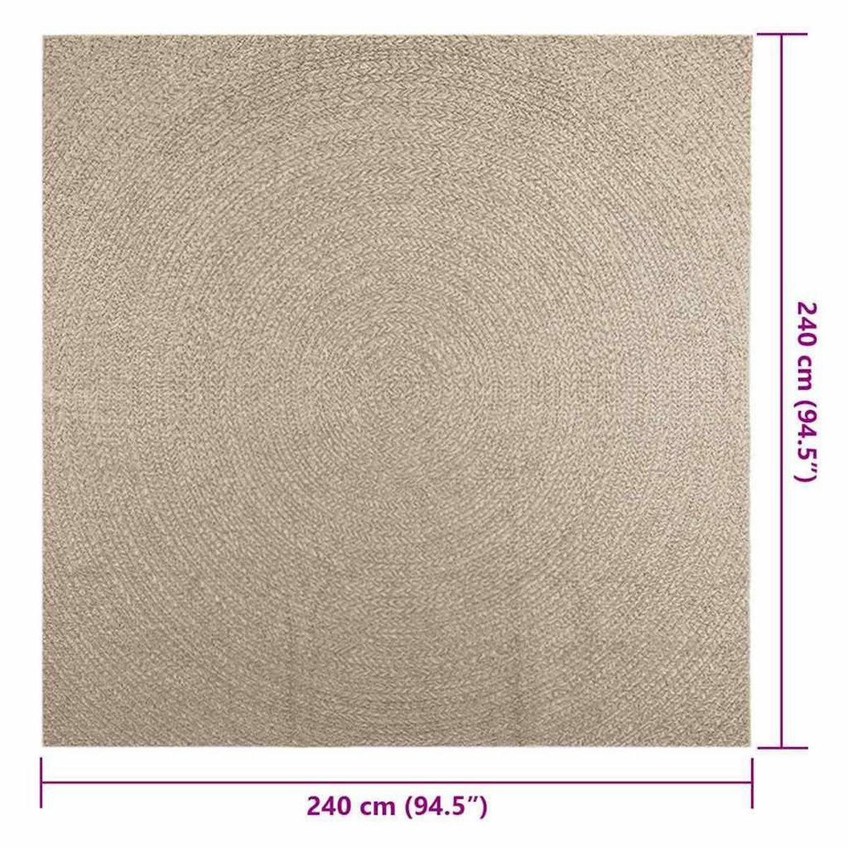 VIDAXL Tapis ZIZUR beige 240x240 cm aspect de jute interieur exterieur
