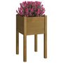 Voir la diapositive 3 : VIDAXL Jardinieres 2 pcs Marron miel 40x40x70 cm Bois de pin massif