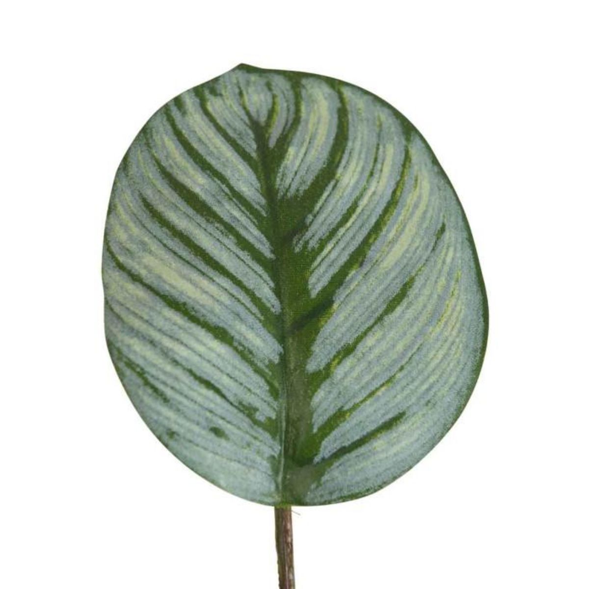 Paris Prix Plante Artificielle en Pot  Calathee  56cm Vert