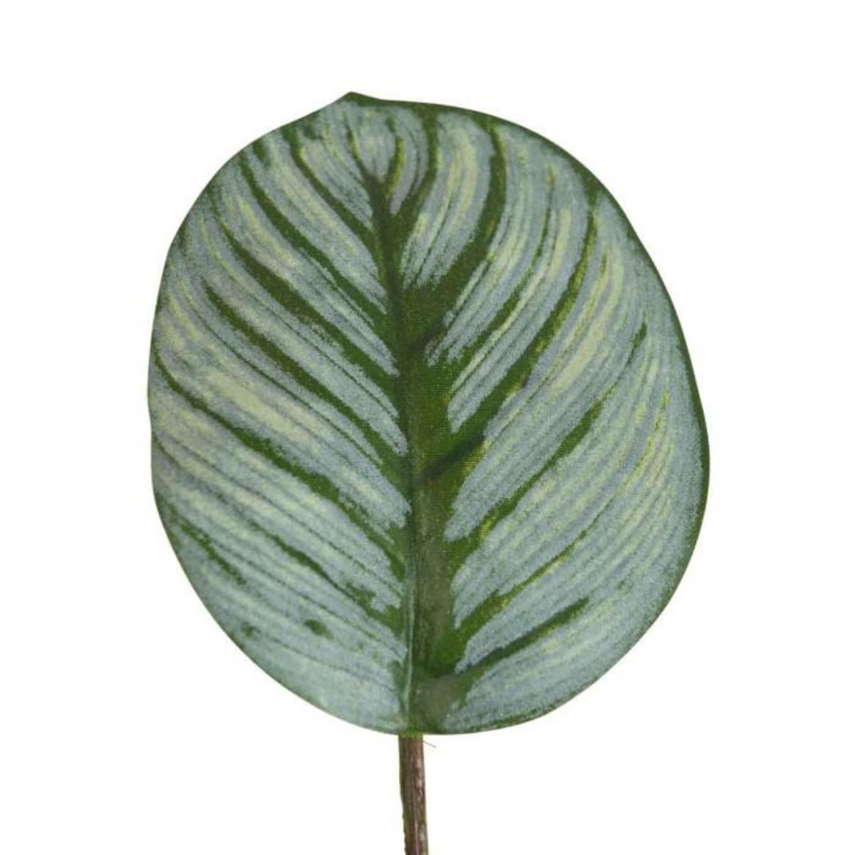 Paris Prix Plante Artificielle en Pot  Calathee  56cm Vert