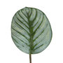 Voir la diapositive 2 : Paris Prix Plante Artificielle en Pot  Calathee  56cm Vert