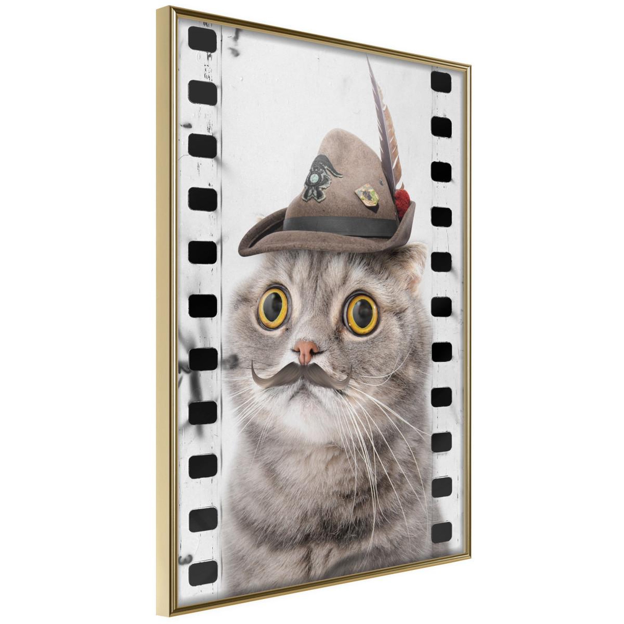 Paris Prix Affiche Murale Encadrée  Dressed Up Cat
