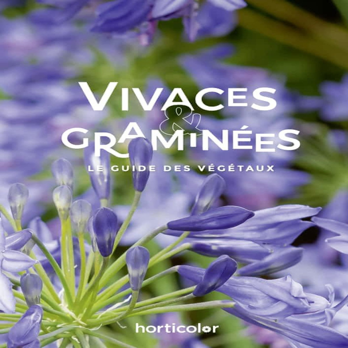 VIVACES & GRAMINEES, Horticolor