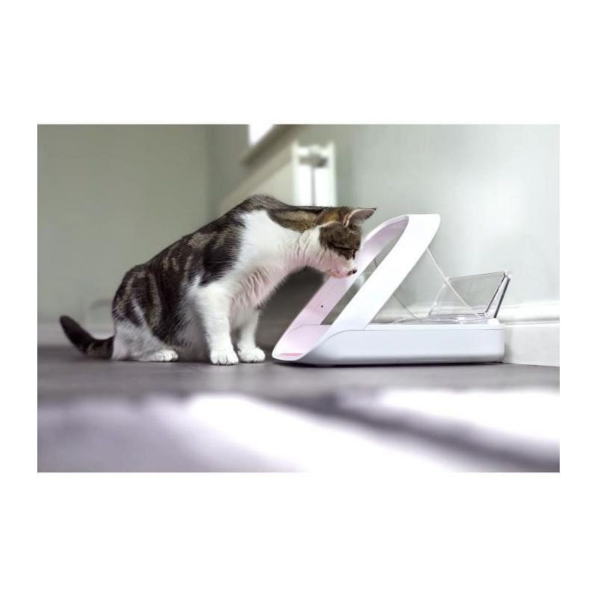 GENERIQUE Distributeur daliment Connect - Blanc - Pour chat