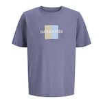 Jack & Jones T Shirt Mauve Garçon Jack & Jones Frederiks. Coloris disponibles : Violet