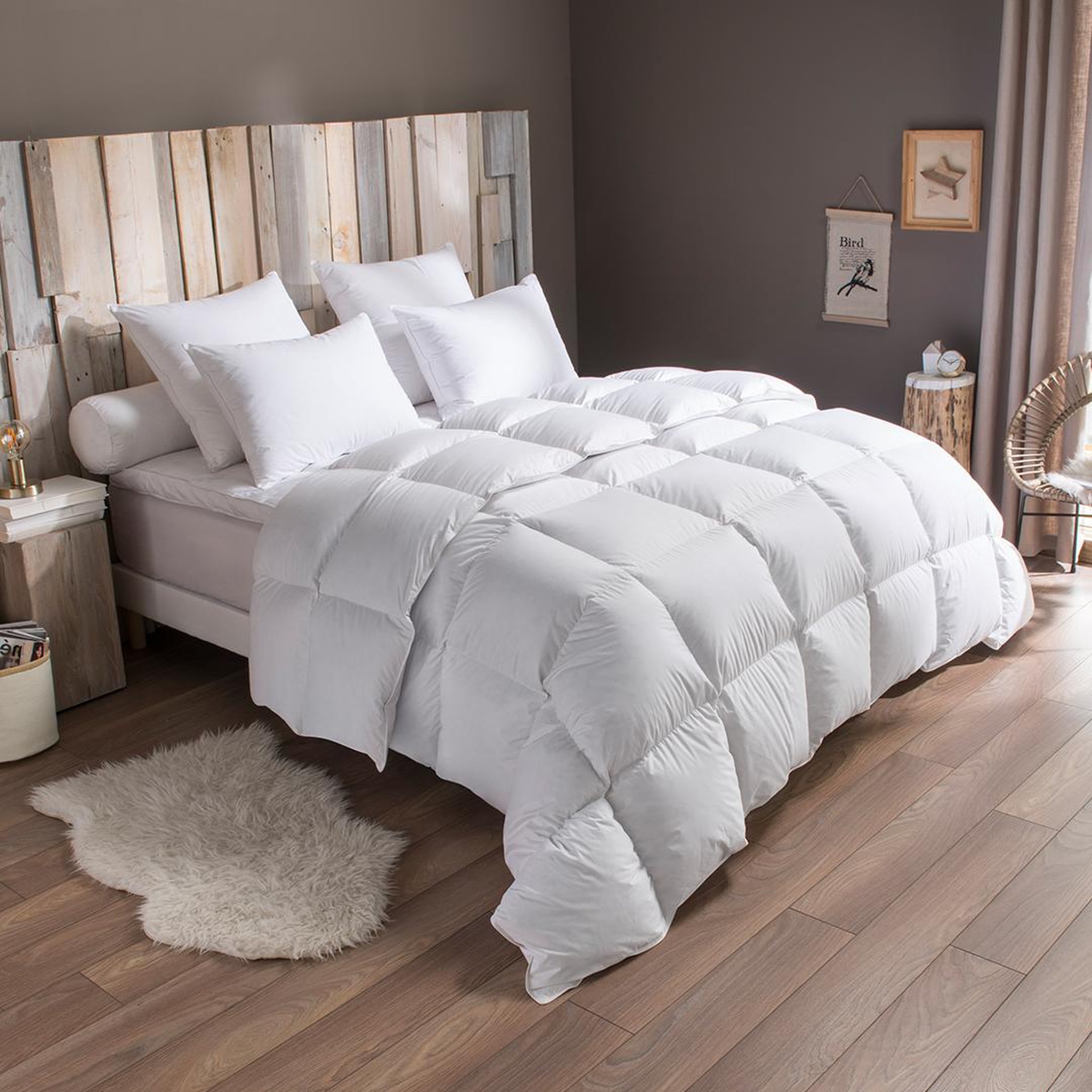 DODO Couette Tradition CHAUDE - 70% Duvet d'Oie. Coloris disponibles : Blanc