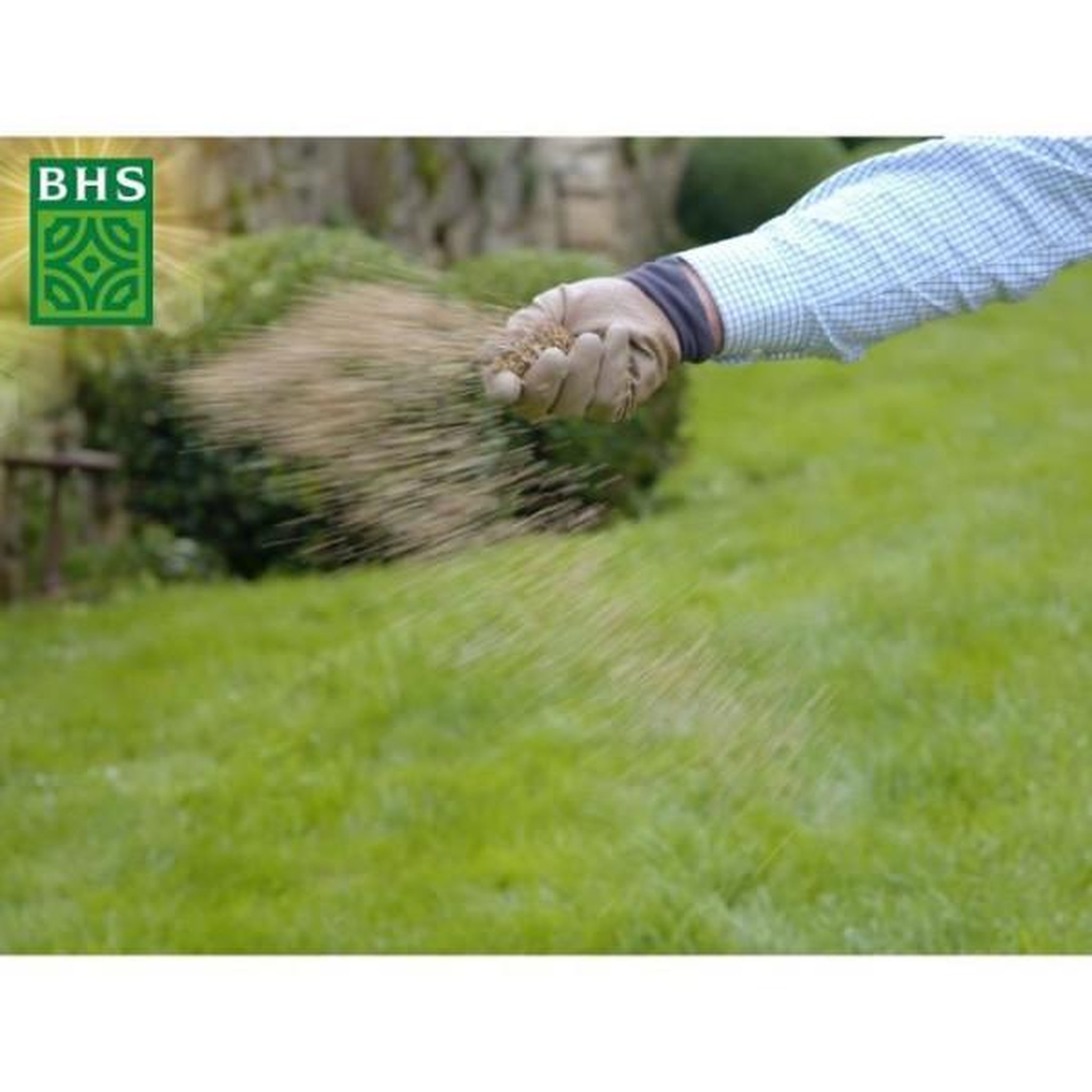 Voir la diapositive 3 : N/A Gazon - BHS - Gazon Rustique 20kg, pour jardins traditionnels et tous types de sols. Dense, esthétique, rapide et durable.