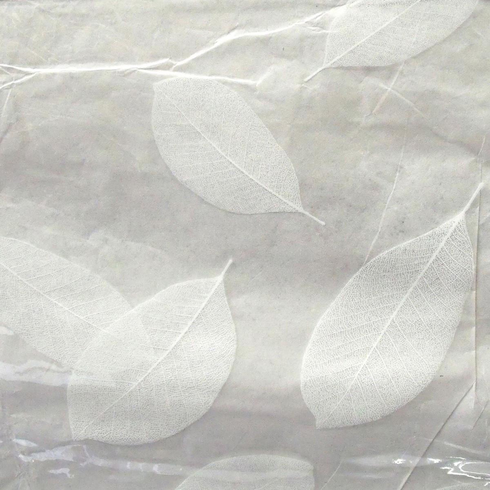 Voir la diapositive 2 : Douceur d'Intérieur Nappe ronde cristal  feuille  140cm transparent