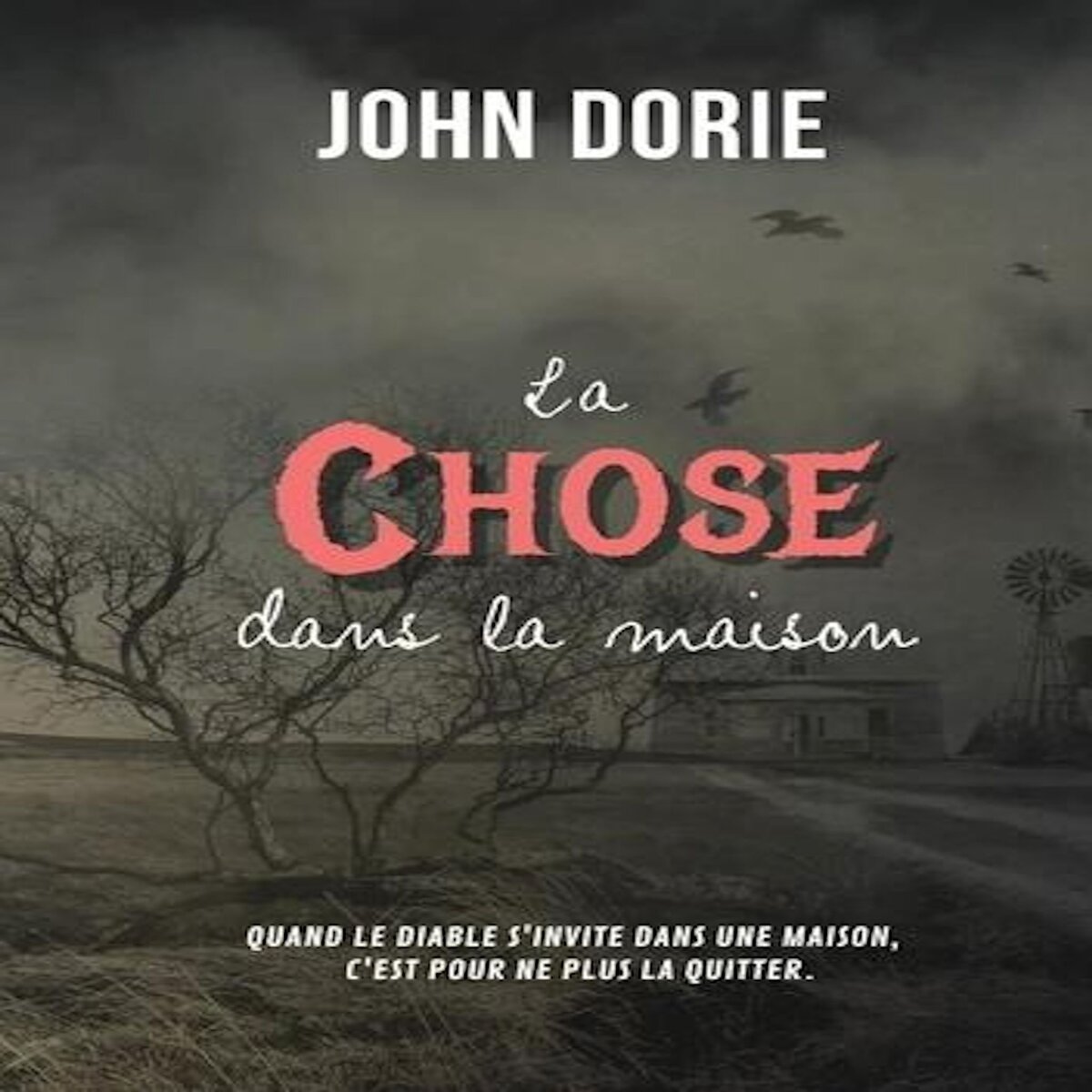 LA CHOSE DANS LA MAISON, Dorie John