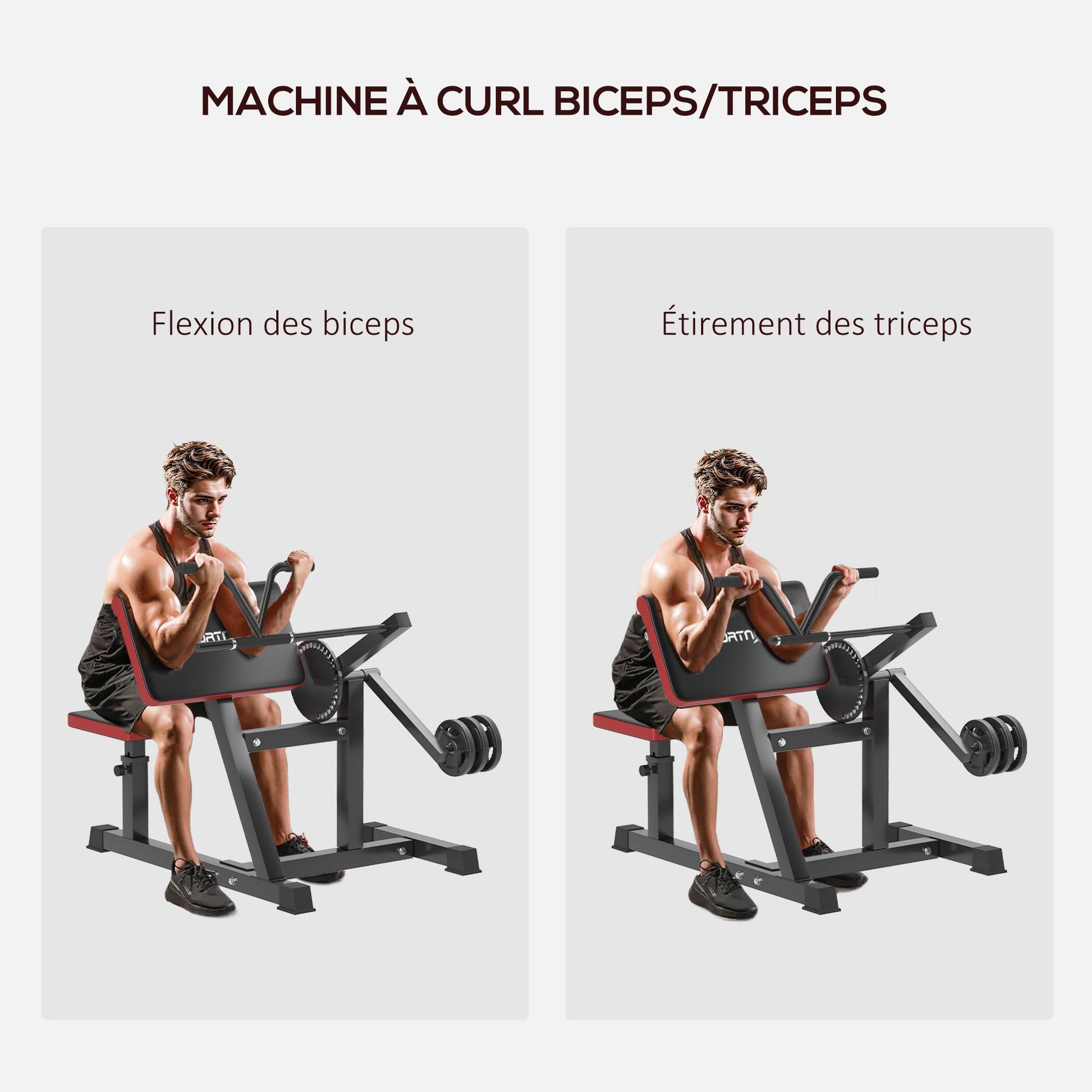 Voir la diapositive 4 : HOMCOM Banc à biceps preacher curl assise réglable 5 niveaux charge max. 120 kg acier noir rouge
