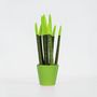 Voir la diapositive 6 : PLANT IN A BOX Sansevieria cylindrique - Hauteur 20-40cm - Pot 9cm