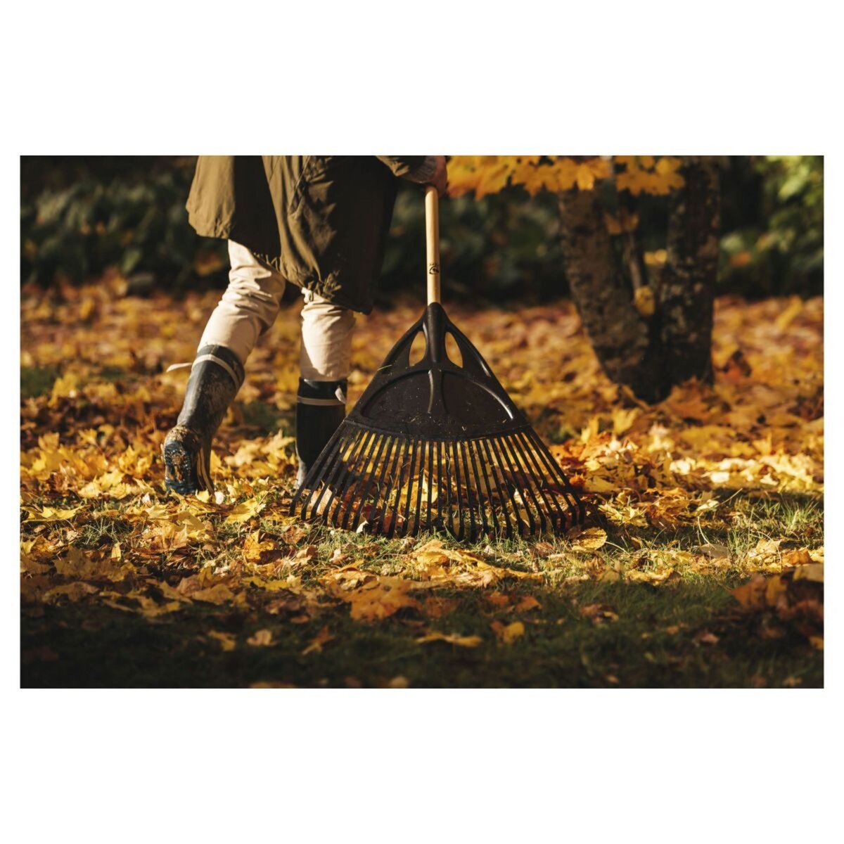 Balai à gazon extra large avec manche en bois