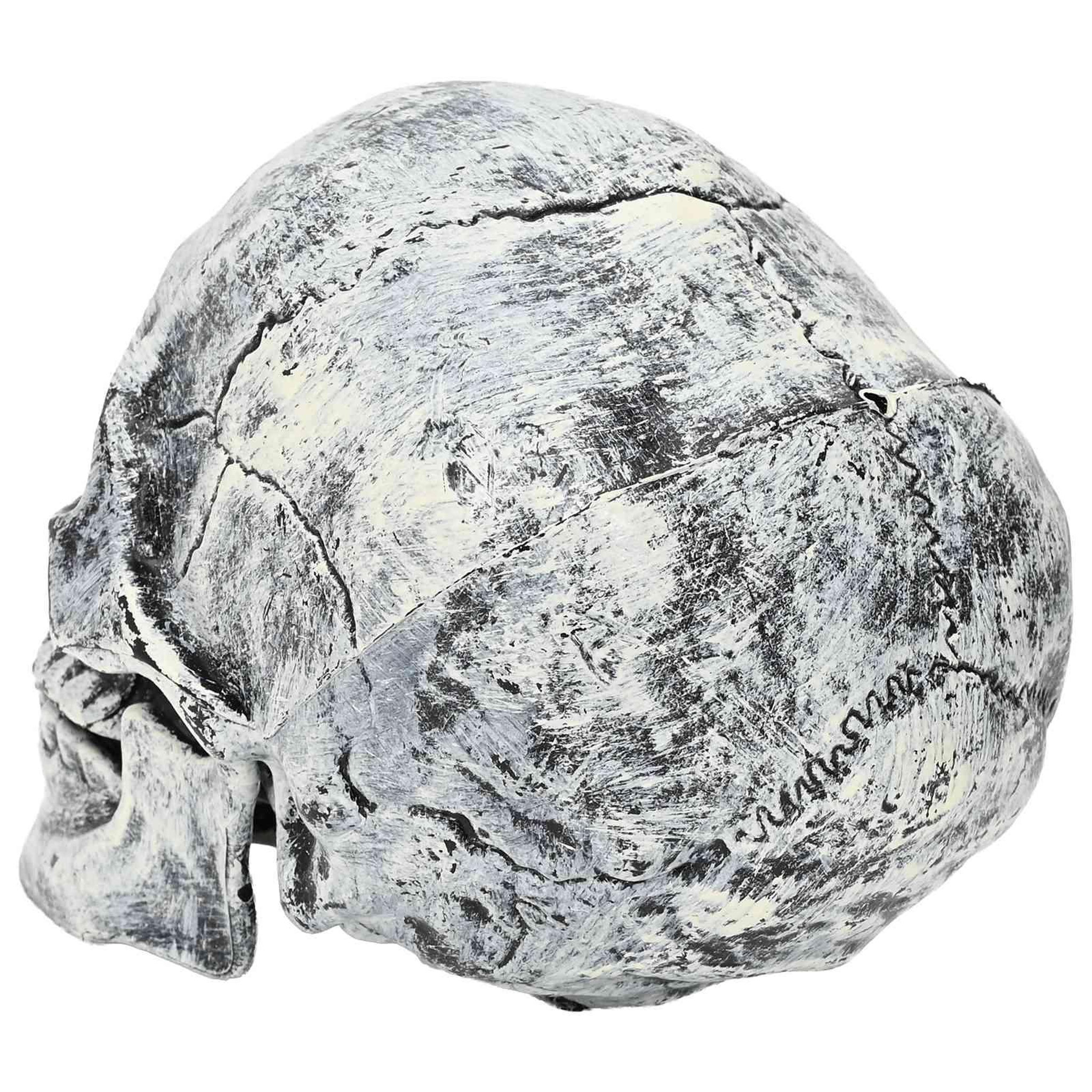 Voir la diapositive 6 : VIDAXL Crane de Halloween SPOOKA 2 pc Blanc 12 x 15 x 17,5 cm