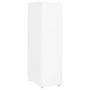 Voir la diapositive 4 : VIDAXL Classeur mobile Blanc 28x41x109 cm Metal