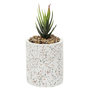 Voir la diapositive 1 : Paris Prix Plante Artificielle en Pot  Terrazzo  11cm Multicolore