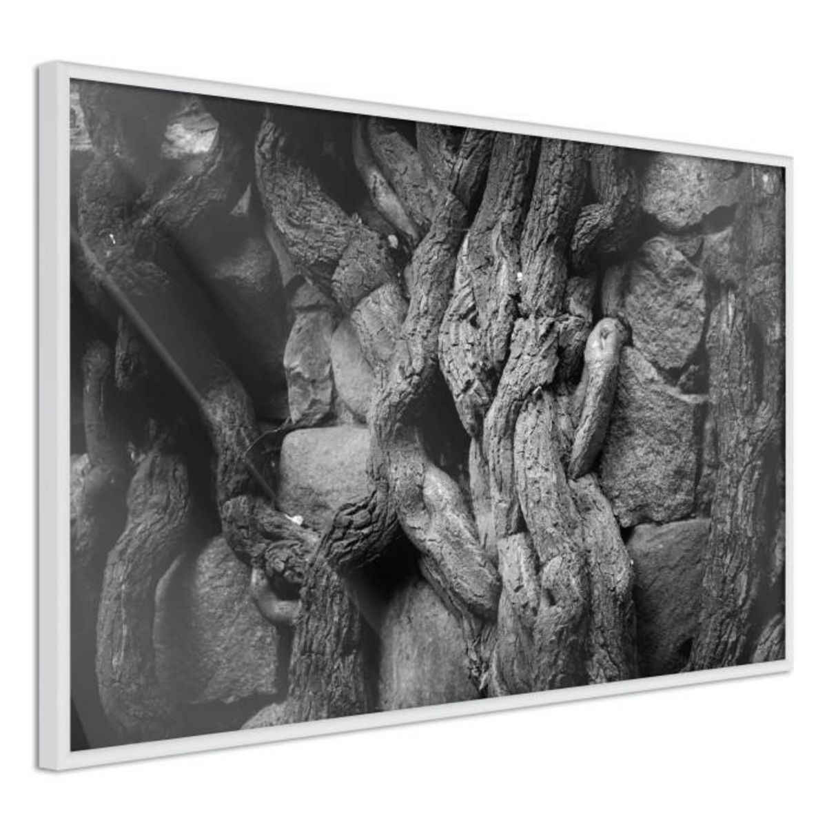 Paris Prix Affiche Murale Encadrée  Strong Roots