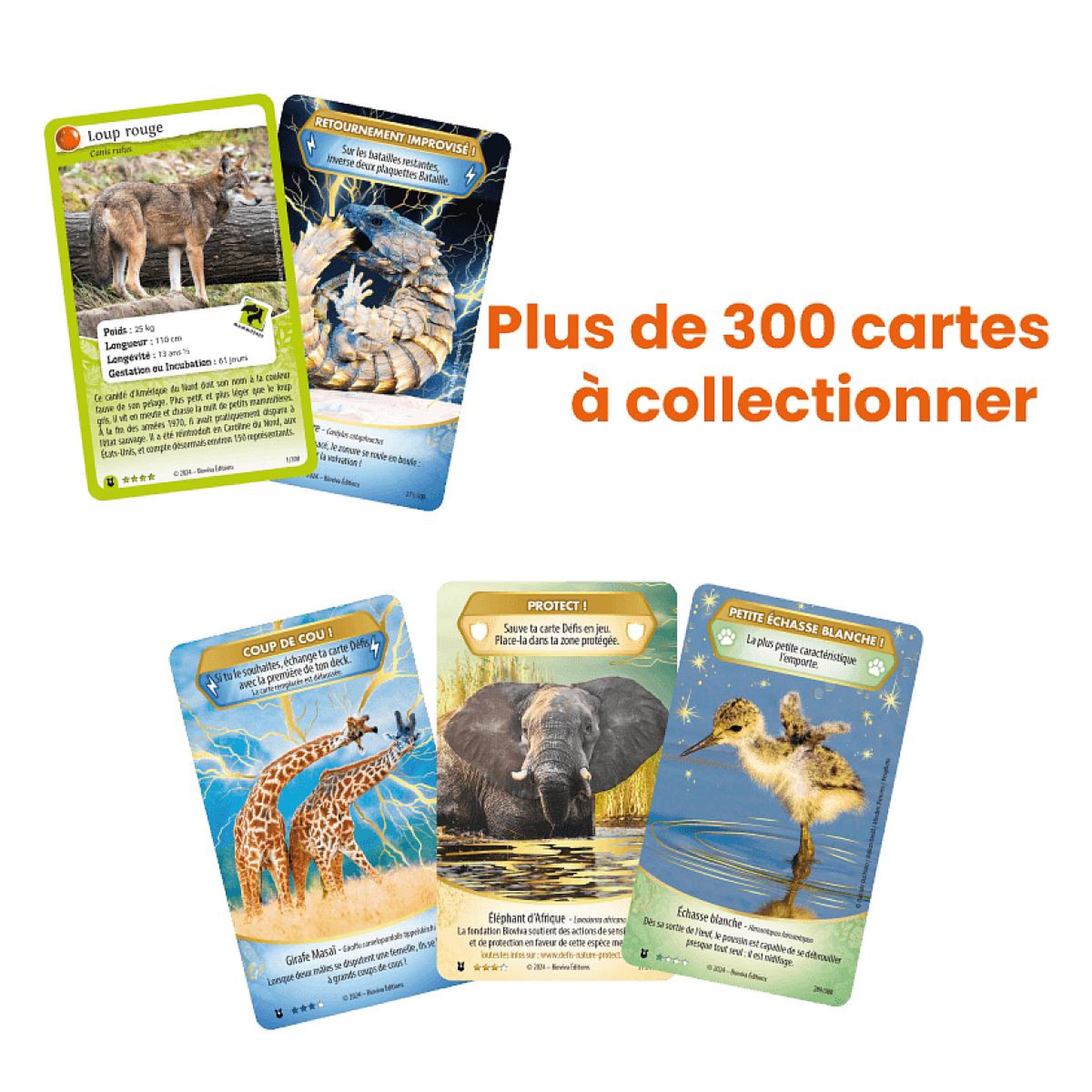 Voir la diapositive 3 : Bioviva Le tournoi Defis nature protect