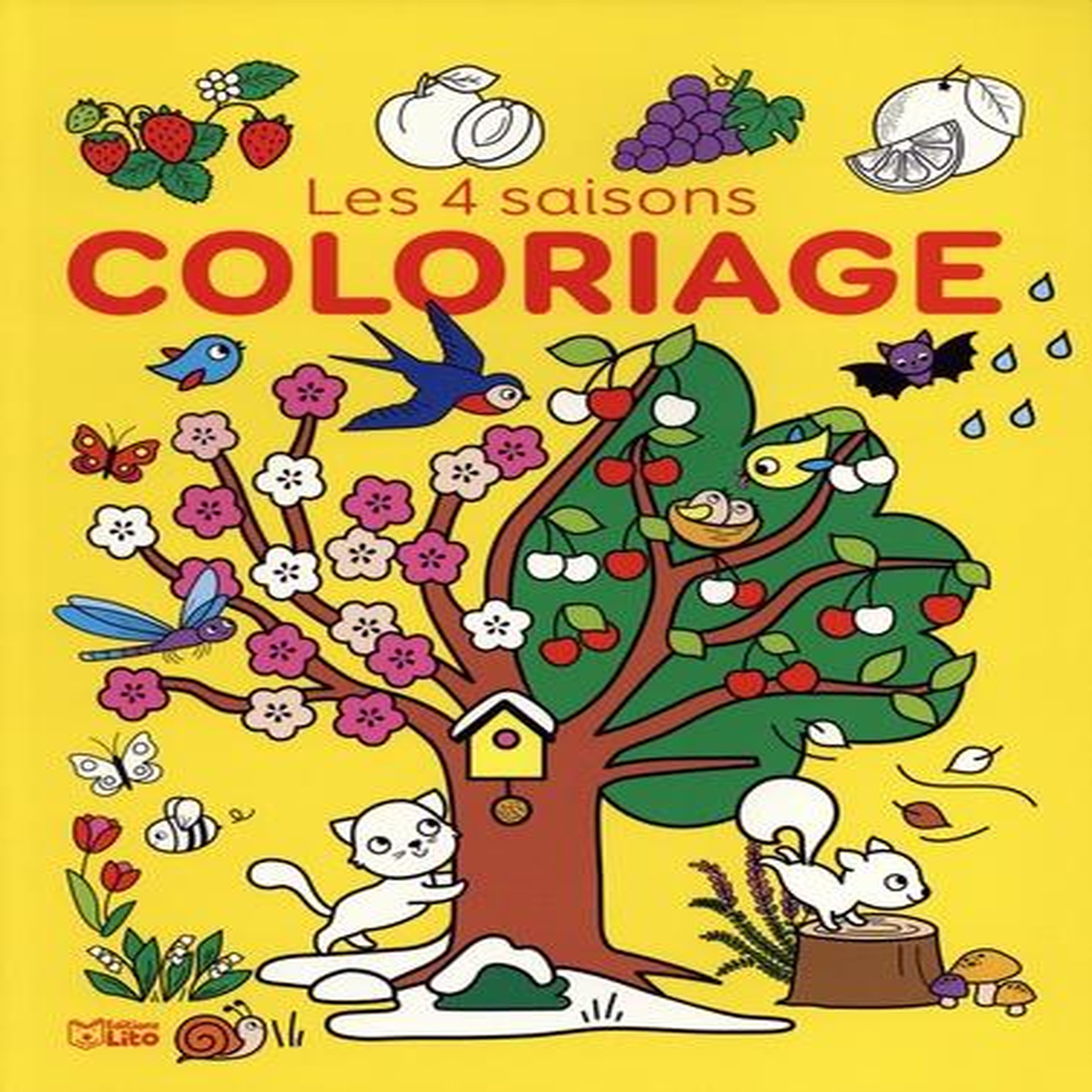 COLORIAGE LES 4 SAISONS, Lemerle Corinne