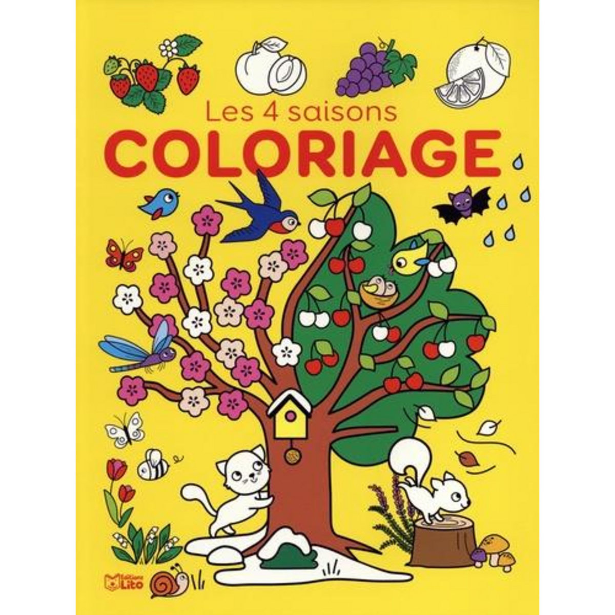 COLORIAGE LES 4 SAISONS, Lemerle Corinne