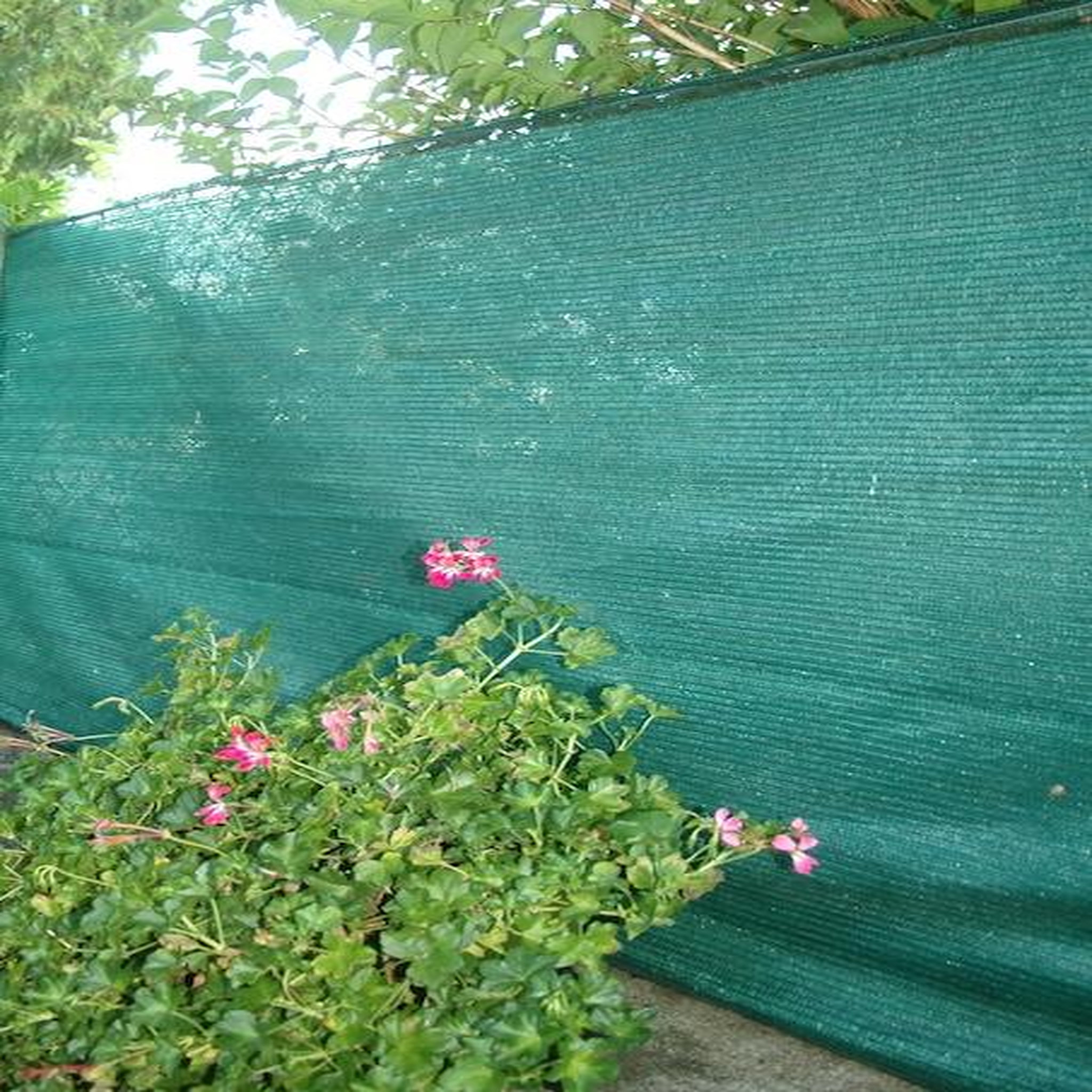 Jany Brise vue - 185gr/m² - 1X3M Vert