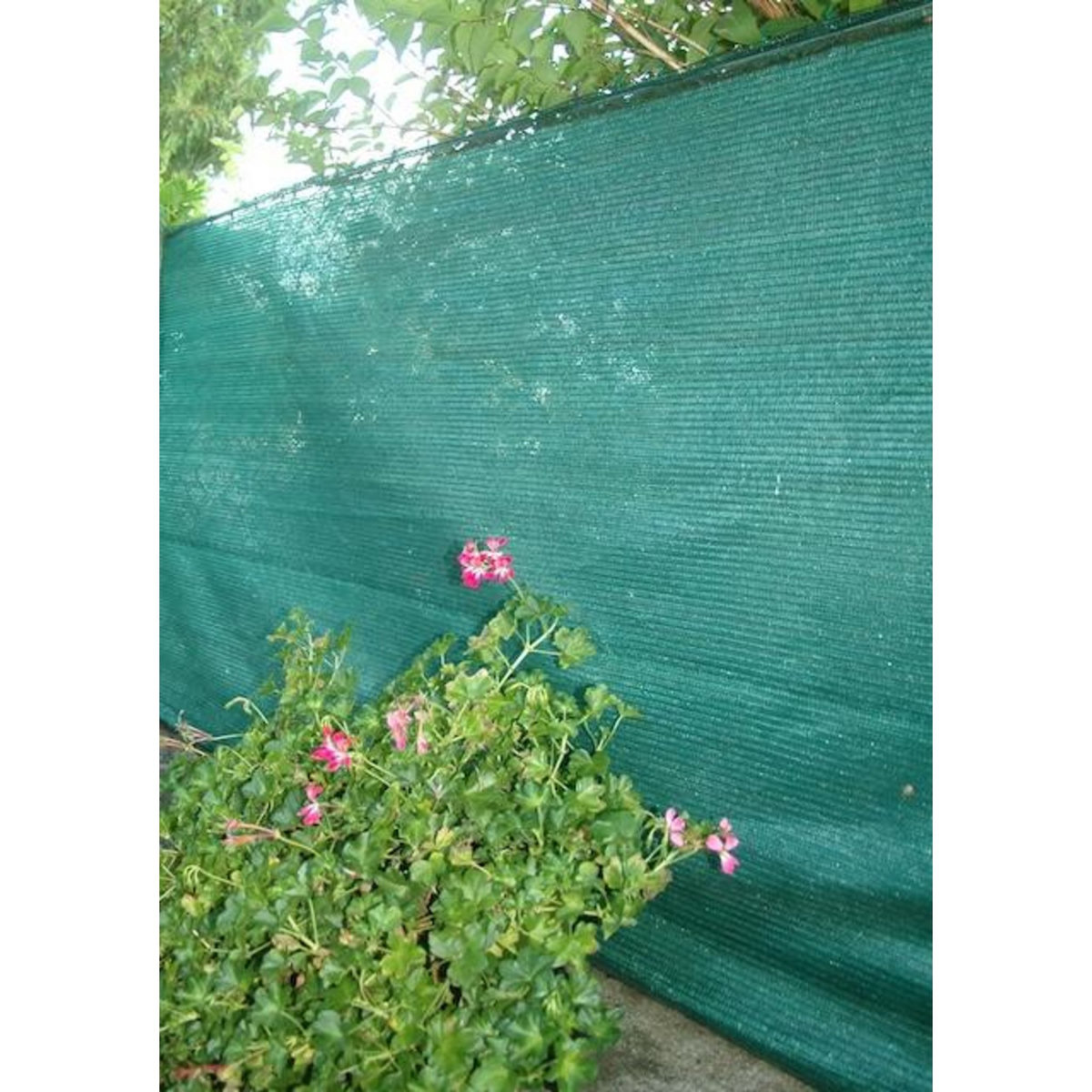 Jany Brise vue - 185gr/m² - 1X3M Vert