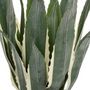 Voir la diapositive 2 : ATMOSPHERA Plante Artificielle Agave  Exotic Panama  55cm Vert