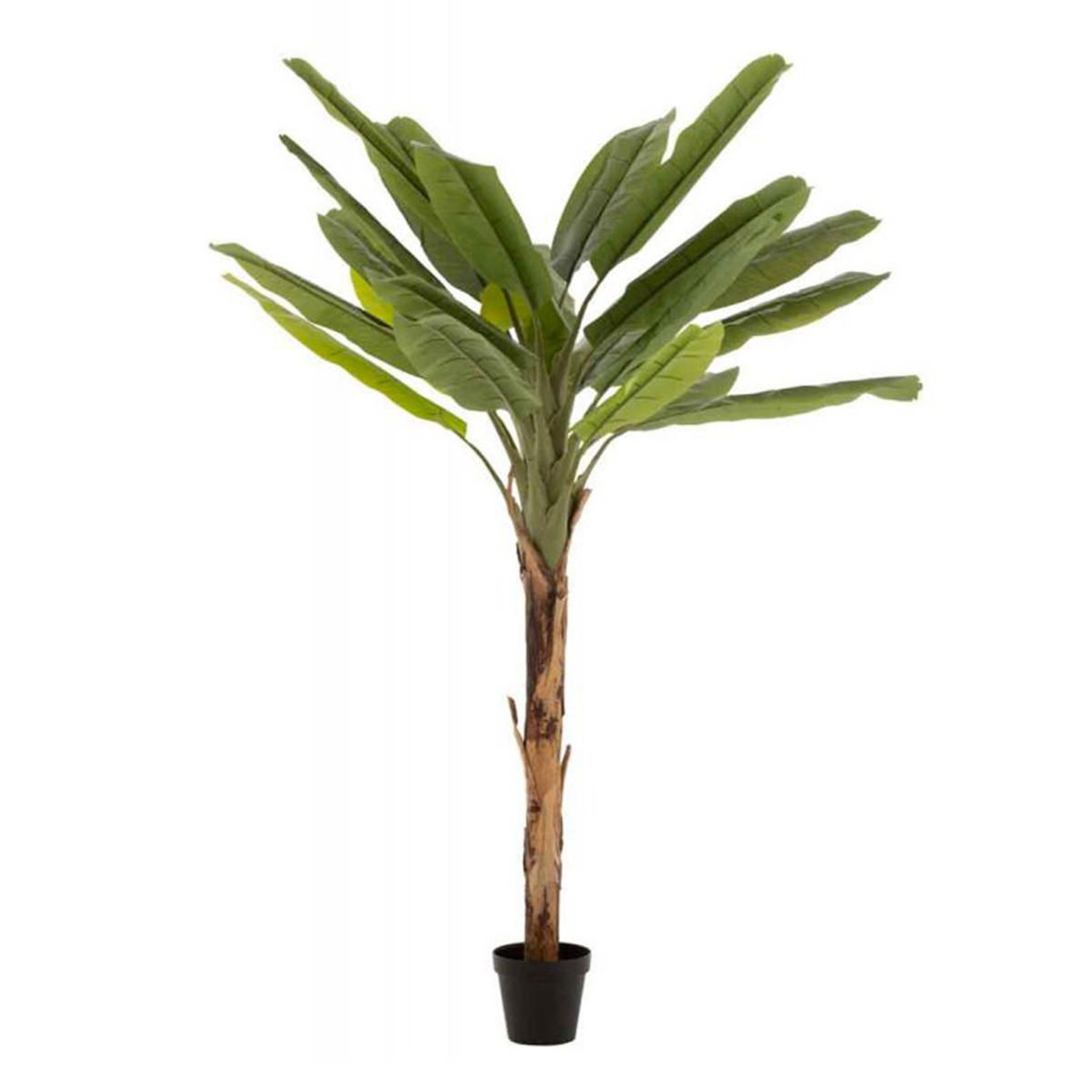 Voir la diapositive 1 : J-LINE Plante Artificielle en Pot  Bananier  250cm Vert