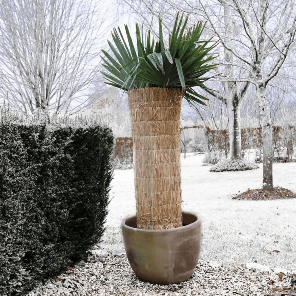 NATURE Nature Bache de protection hivernale Paille de riz 1x1,5 m