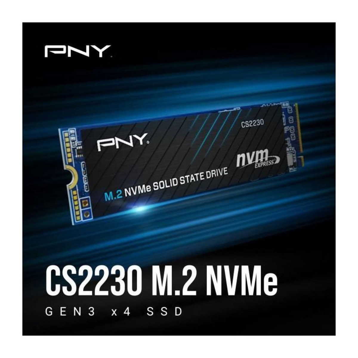 PNY PNY - CS2230 SOLID STATE DRIVE - Disque dur SSD interne - 2 To